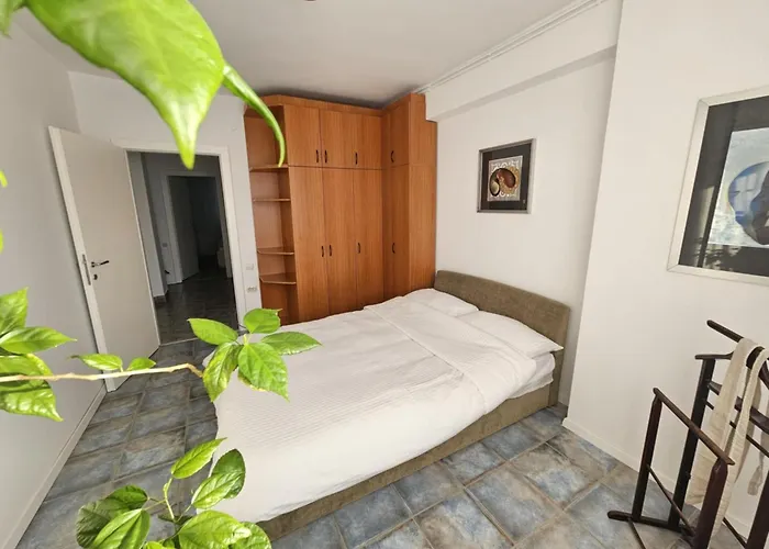 Victoriei 7 טימישוארה